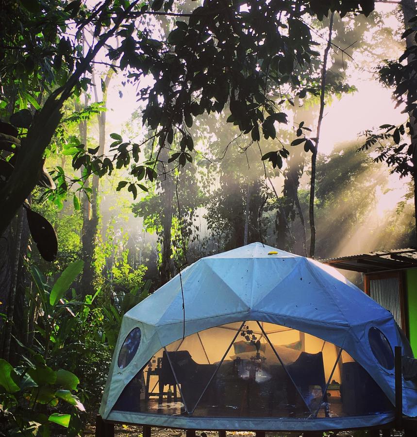 Faith Glamping Dome Costa Rica Bed & Breakfast Manzanillo  Exterior photo